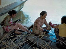 Rattan Harvesting and processing